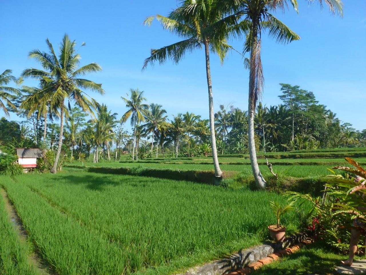 Bali Sawah Indah Hotel Ubud  Exterior photo